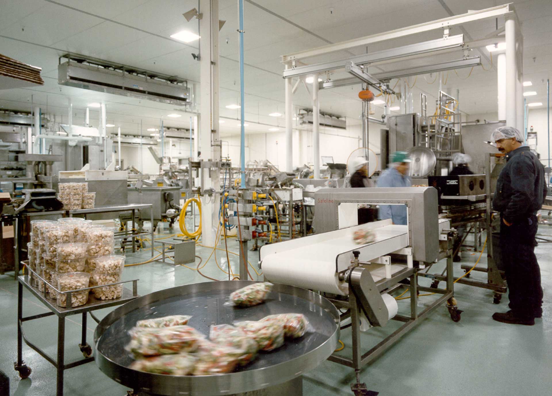 Vegetables on conveyor belt at vegetable processing plant